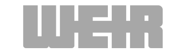 Item 5